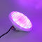 Ampoule économiseuse d'énergie de la couleur 48W LED PAR56 de RGBW